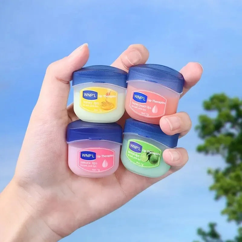 4/6/8pcs Moisturizing Lip Balm Set – Natural Plant-Based Lip Care for Dry, Cracked Lips